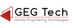 GEG Tech